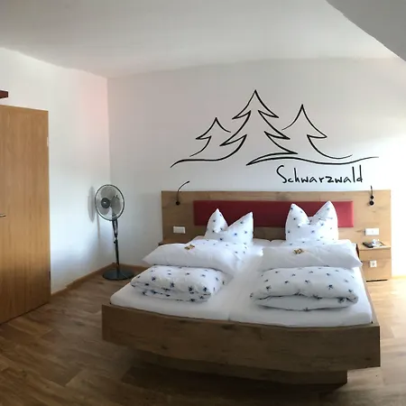 Richebaechli Pensión Elzach