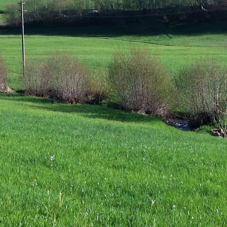 Richebaechli 3* Elzach