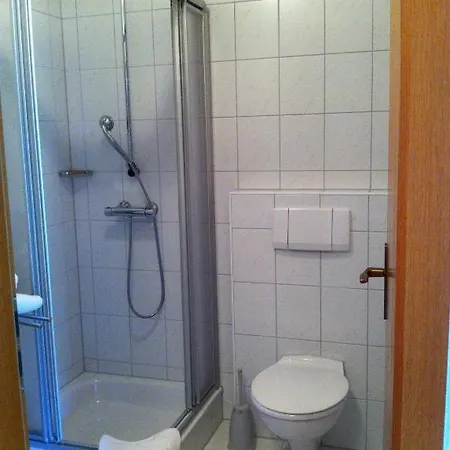 Guest house Richebaechli 3*