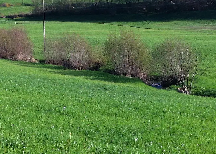 Richebaechli 3* エルツァッハ